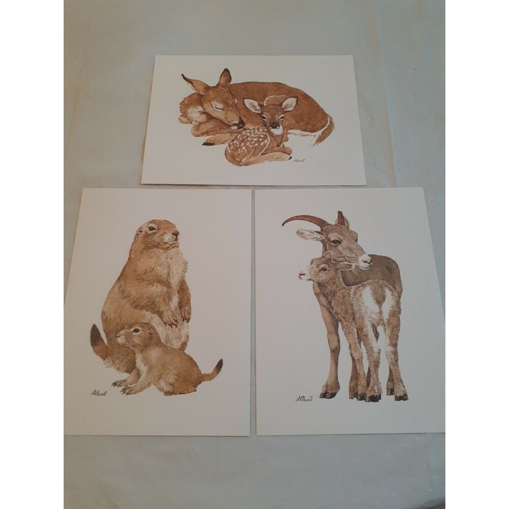 Lot Of 3 Nature Animal Picture Cards Crafts Art 5.75 x 7.75 Blank Back